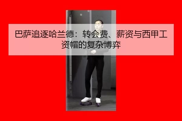 ba-sa-zhui-zhu-ha-lan-de-zhuan-hui-fei-xin-zi-yu-xi-jia-gong-zi-mao-de-fu-za-bo-yi-2-576.jpg