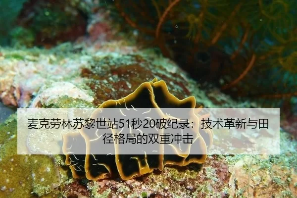mai-ke-lao-lin-su-li-shi-zhan-miao-po-ji-lu-ji-shu-ge-xin-yu-tian-jing-ge-ju-de-shuang-chong-chong-ji-3-427.jpg
